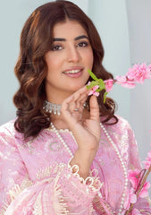 Lawn Collection - Asimah.K - Inaayat - Festive - LILLY - D#08