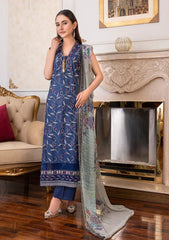 Lawn Collection - Noor Jahan - Rang-E-Noor - Chikankari - RN#3 - N Blue