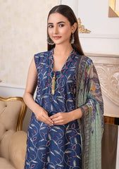 Lawn Collection - Noor Jahan - Rang-E-Noor - Chikankari - RN#3 - N Blue