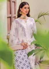 Formal Collection - Humdum - Rumli - RMD#06