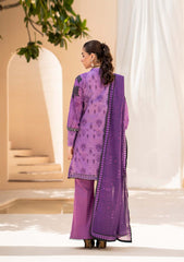Lawn Collection - Paltar - Surmai - ANJUM - D#12