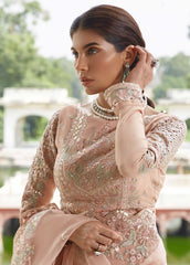 Formal Collection - Seran - Taaruf - D#02 - Roohi