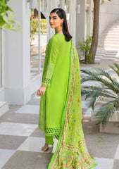 Lawn Collection - Gul Ahmed - Pre Fall - BN-32003