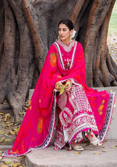 Lawn Collection - Mohsin Naveed Ranjha - Festive - GULABO