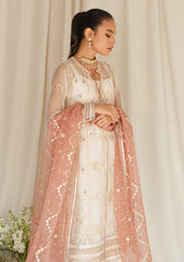 Formal Collection - Cross Stitch - Luxury - D#2 | DREAMY TINT