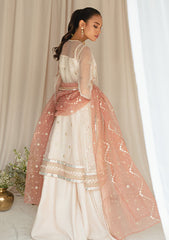 Formal Collection - Cross Stitch - Luxury - D#2 | DREAMY TINT