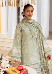 Lawn Collection - Zarqash - Tresor - Luxury - ZQ#6 A