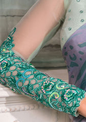 Saree - Nayab - Jahan Araa- D#08 - Ayra