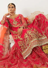 Formal Collection - Mashq - Raj Kumari - QFD#0059