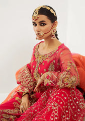 Formal Collection - Mashq - Raj Kumari - QFD#0059