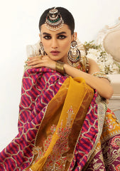 Formal Collection - Mashq - Raj Kumari - QFD#0058