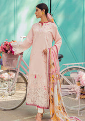 Lawn Collection - Mushq - Hemline - Tesoro - HML#3 B