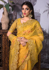 Saree - Nayab - Jahan Araa- D#04 - Kayseria