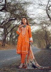 Lawn Collection - Paltar - Naqsh - SHAFAQ