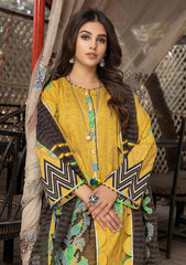 Lawn Collection - Charizma - Beyond Casuals - Melody - V01 - CPE#12