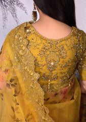 Saree - Nayab - Jahan Araa- D#04 - Kayseria