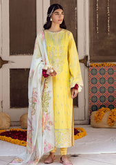 Lawn Collection - Ayzel - Raqs Festive - AR#4 | Shafaq