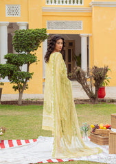 Lawn Collection - Zarqash - Tresor - Luxury - ZQ#1 B