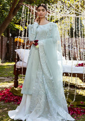 Lawn Collection - Ayzel - Raqs Festive - AR#6 | Serai