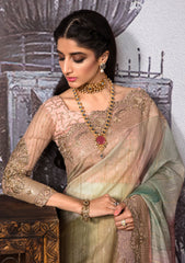 Saree - Nayab - Jahan Araa- D#01 - Dhanak