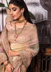 Saree - Nayab - Jahan Araa- D#01 - Dhanak