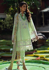 Lawn Collection - Ansab Jahangir - Zoha - AJZ#5