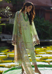 Lawn Collection - Ansab Jahangir - Zoha - AJZ#5