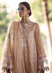 Lawn Collection - Ansab Jahangir - Zoha - AJZ#6