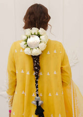 Lawn Collection - Zara Shahjahan - S/S - ZSJ#9B