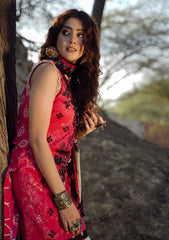 Lawn Collection - Paltar - Naqsh - AARZOO