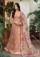 Formal Collection - Afrozeh - Ayzel Mehrbano - AYM#3 Saleem Fabrics Traditions