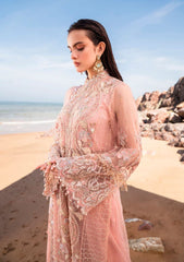 Formal Collection - Muneefanaz - Versailles - CHARLOTTE available at Saleem Fabrics Traditions