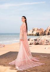 Formal Collection - Muneefanaz - Versailles - CHARLOTTE available at Saleem Fabrics Traditions