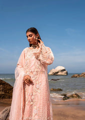 Formal Collection - Muneefanaz - Versailles - CHARLOTTE available at Saleem Fabrics Traditions