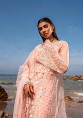 Formal Collection - Muneefanaz - Versailles - CHARLOTTE available at Saleem Fabrics Traditions