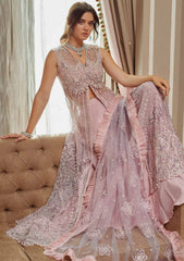 Formal Collection - Mushq - Amour - Mabel - TDL#8 available at Saleem Fabrics Traditions