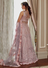 Formal Collection - Mushq - Amour - Mabel - TDL#8 available at Saleem Fabrics Traditions