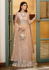 Formal Collection - Roheenaz - Aafreen - RAC#5 available at Saleem Fabrics Traditions