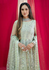 Formal Collection - Rubaaiyat - Embroidered Net - REN#4 available at Saleem Fabrics Traditions