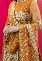 Formal Collection - Rubaaiyat - Embroidered Net - REN#6 available at Saleem Fabrics Traditions