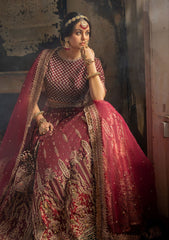 Formal Collection - Sobia Nazir - Nayab - Festive - D#7 available at Saleem Fabrics Traditions