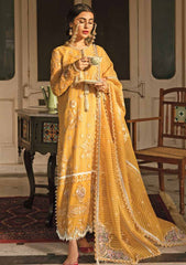 Formal Dress - Afrozeh - Dhoop kinaray - Ghazal - D#10 available at Saleem Fabrics Traditions