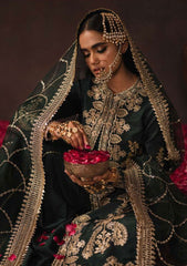 Formal Dress - Afrozeh - Divani - Silk - AS#003 (Miraka) available at Saleem Fabrics Traditions