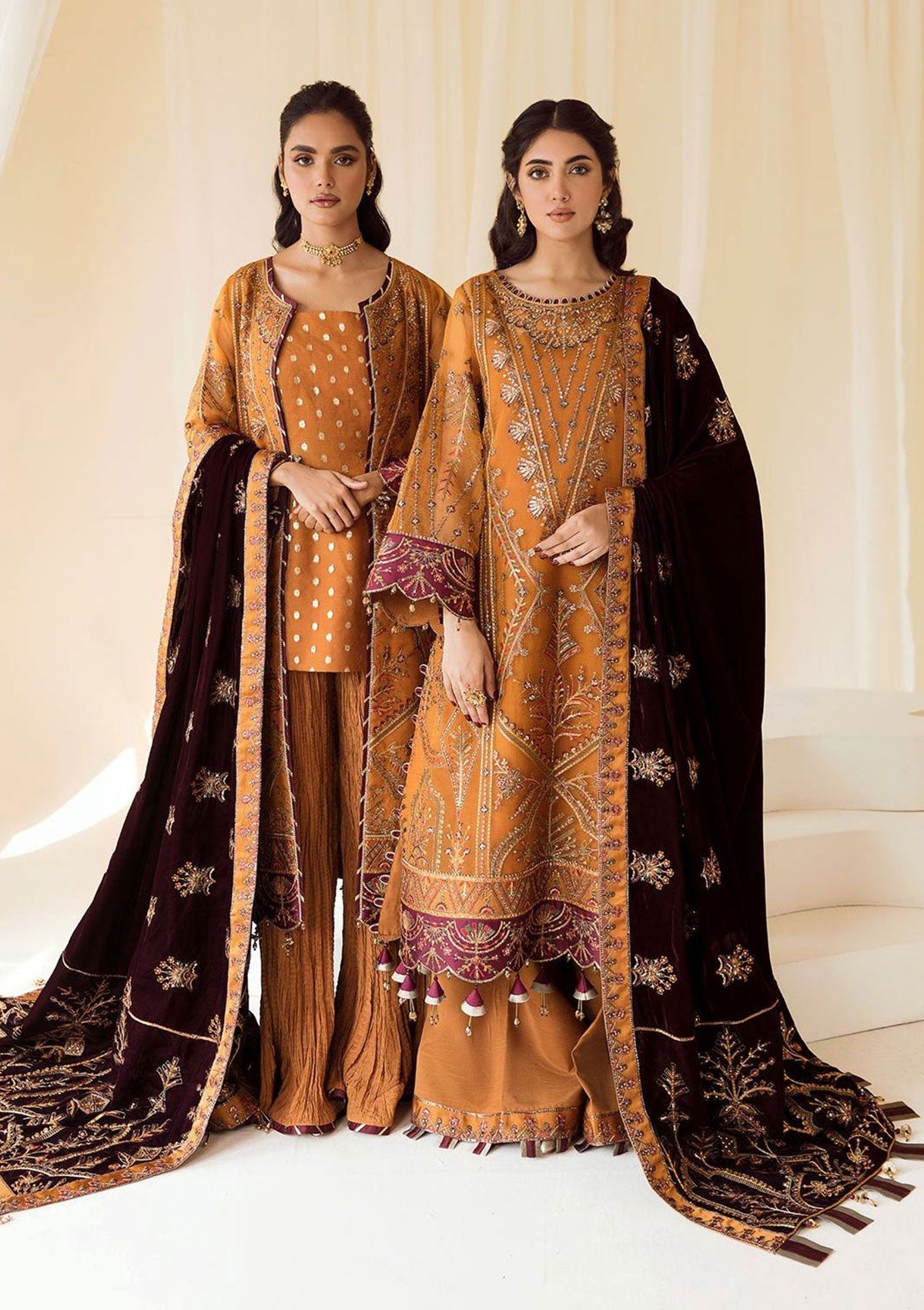 Formal Dress - Alizeh - Premium Velvet - D#3 (Zar Begum) available at Saleem Fabrics Traditions