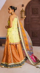 Formal Dress - Anaya - Kamair Rokni - Dhanak - SHAZMEEN D#05 available at Saleem Fabrics Traditions