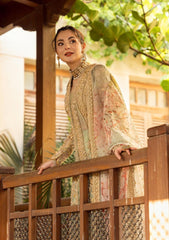 Formal Dress - Crimson - Wedding - CRW#3 available at Saleem Fabrics Traditions