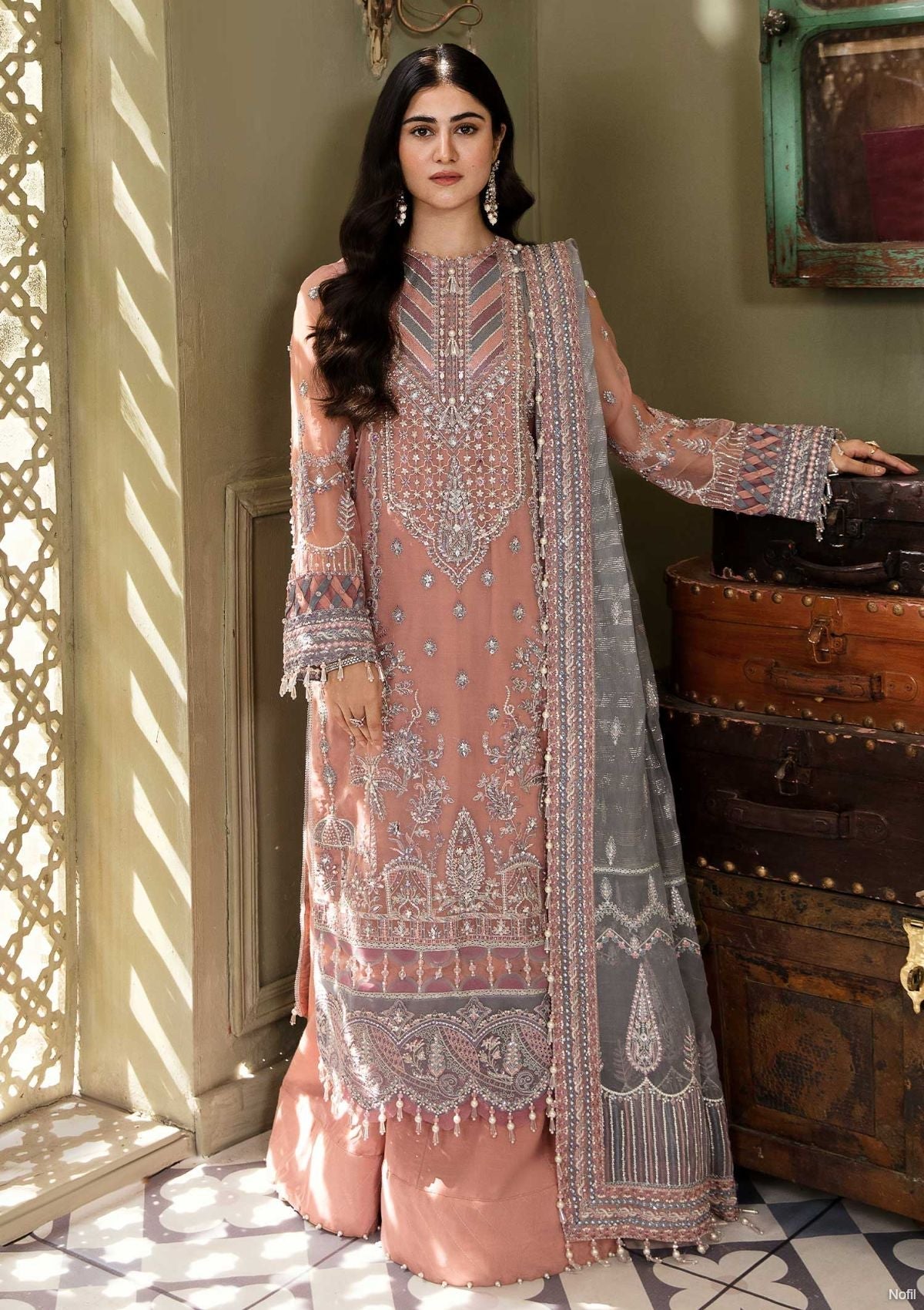 Formal Dress - Eleshia - Zarin - ABIR available at Saleem Fabrics Traditions