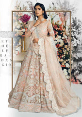 Formal Dress - Freesia - Tresor - Bridal - MBM#0036 (MILICA) available at Saleem Fabrics Traditions