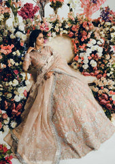 Formal Dress - Freesia - Tresor - Bridal - MBM#0036 (MILICA) available at Saleem Fabrics Traditions