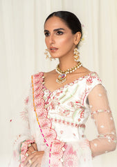 Formal Dress - Hada - Ahdia - D#01 (Mah e Noor) available at Saleem Fabrics Traditions